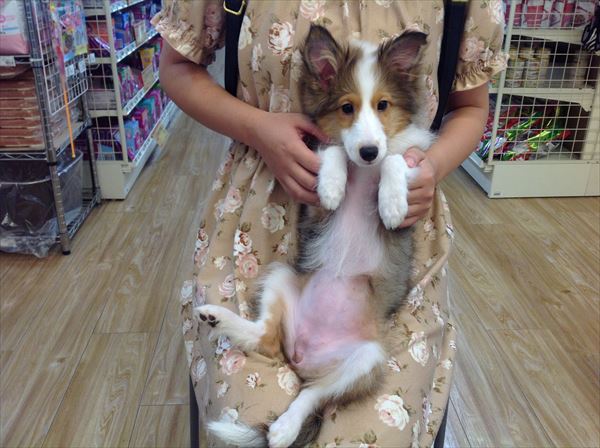 写真