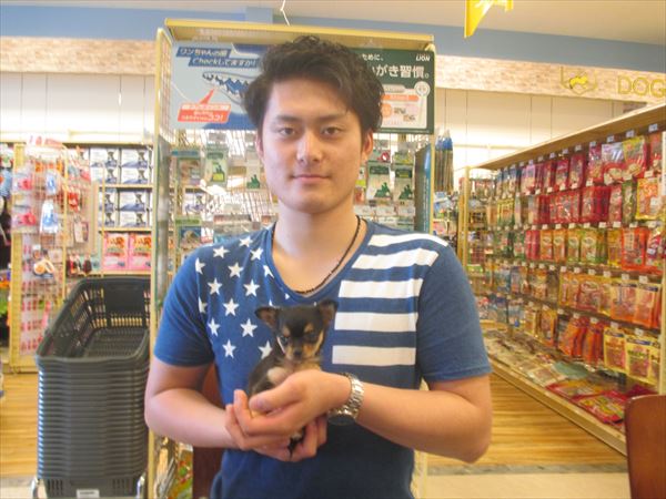 写真