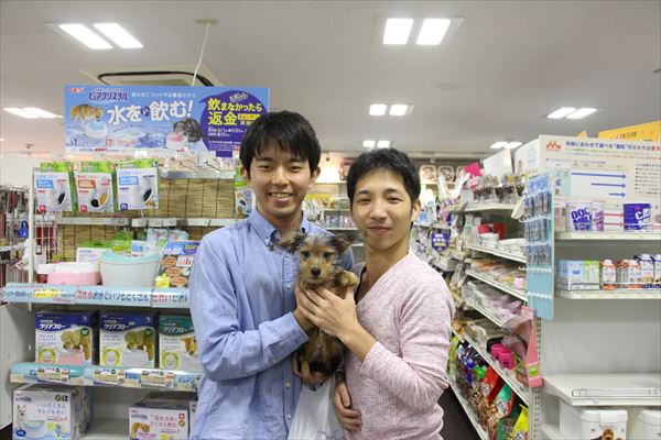 写真