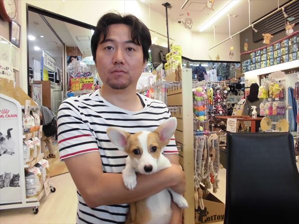 写真