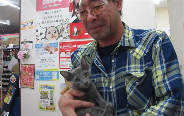 写真