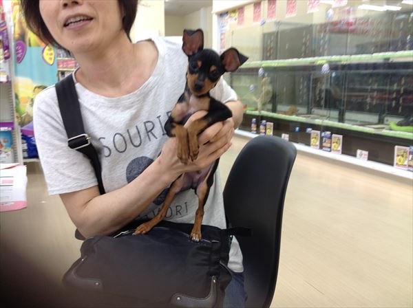 写真