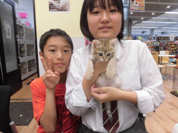 写真