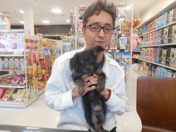 写真