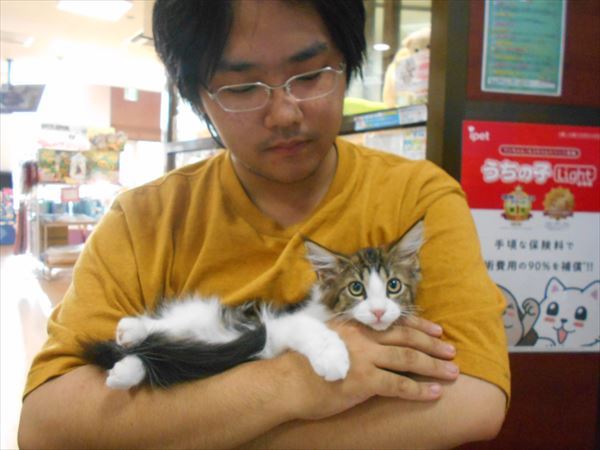 写真