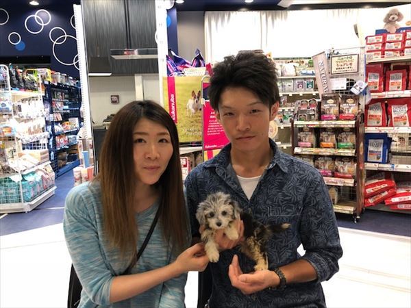 写真