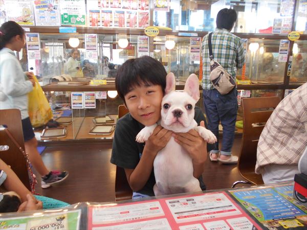 写真