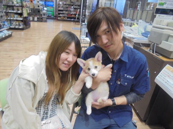写真