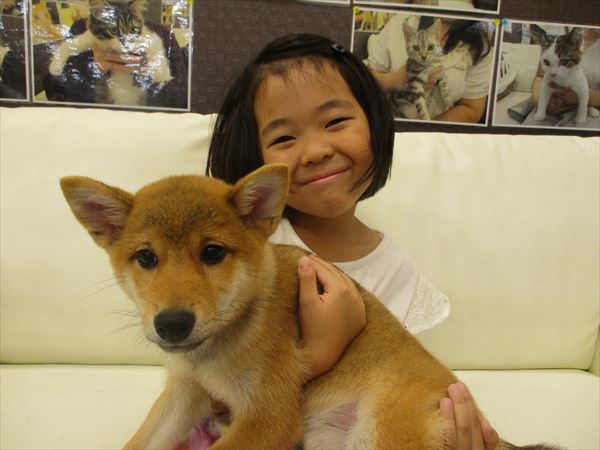 写真