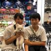写真