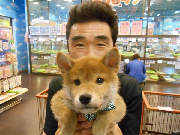 写真