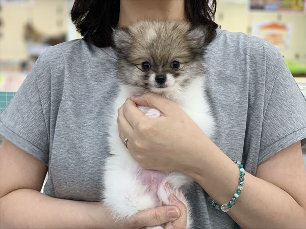 写真