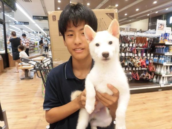 写真