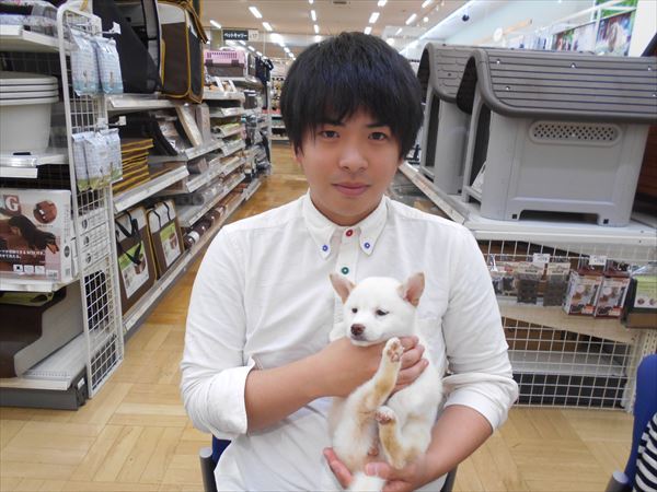 写真
