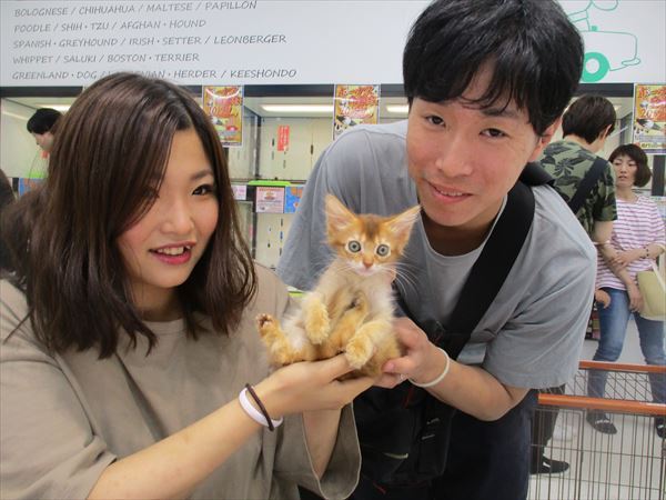 写真