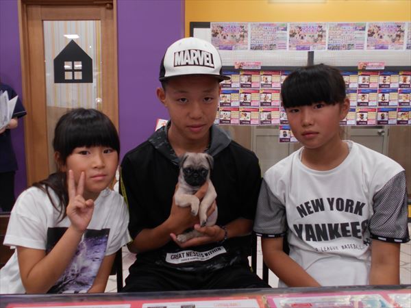 写真