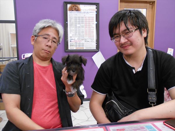 写真