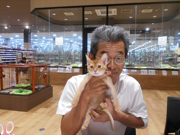 写真