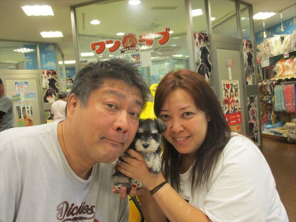 写真