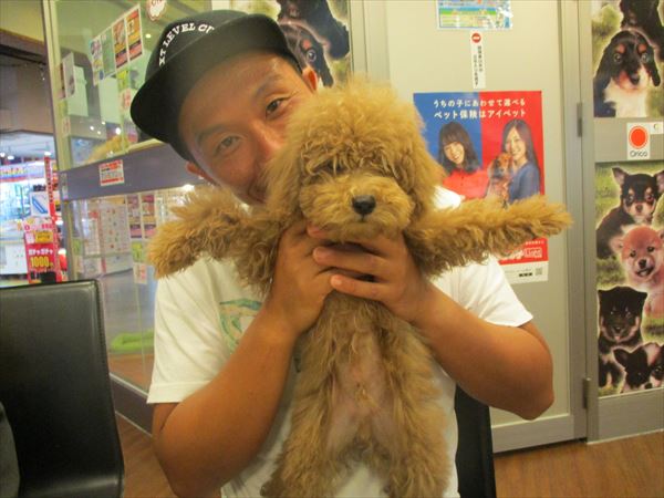 写真
