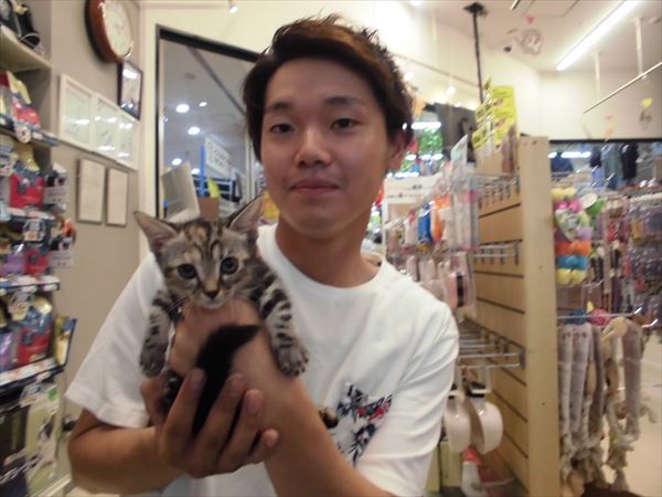 写真