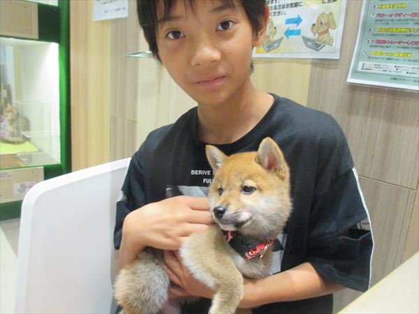 写真