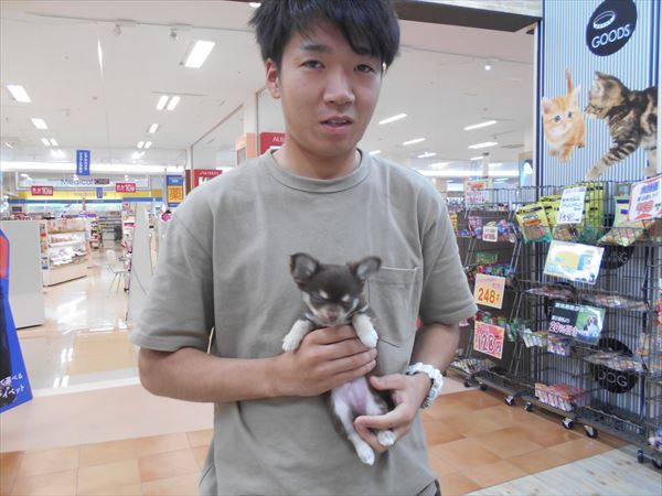 写真