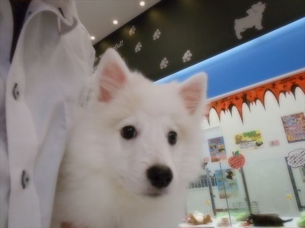 写真