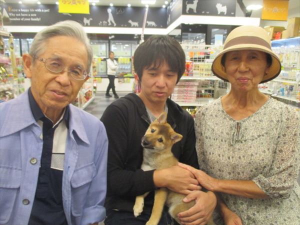 写真