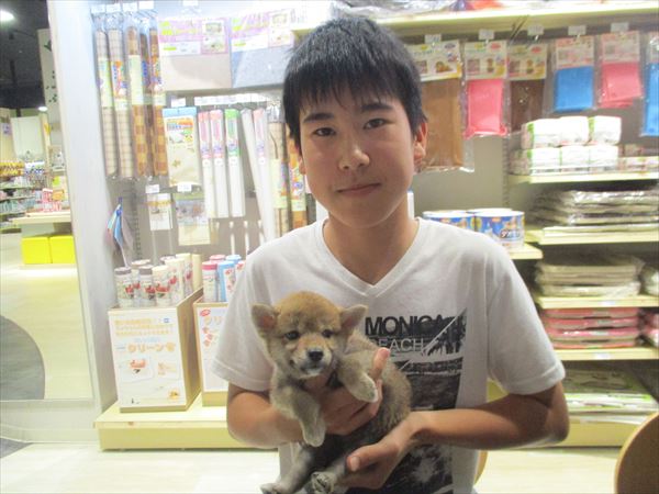 写真