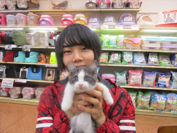 写真
