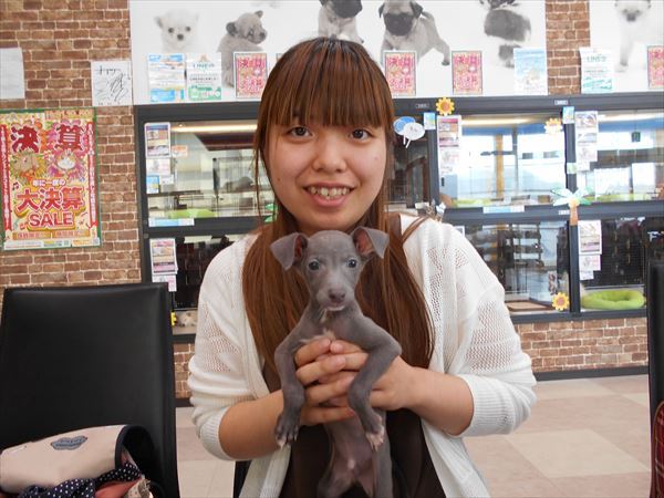 写真