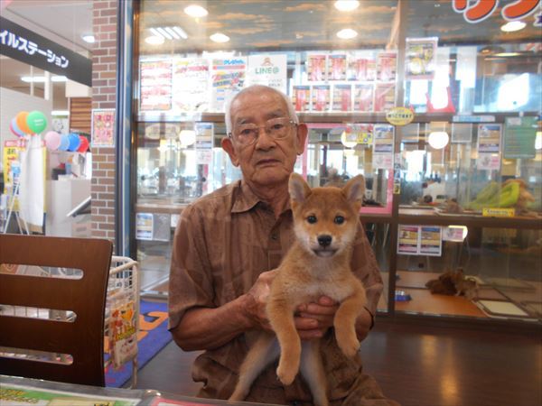 写真