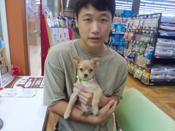 写真