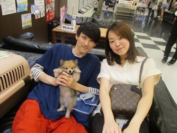 写真