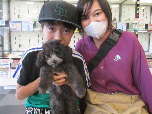 写真