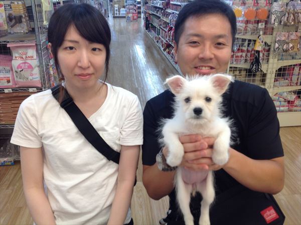 写真