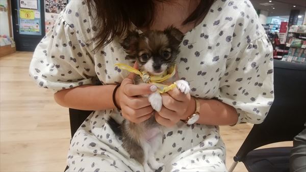 写真