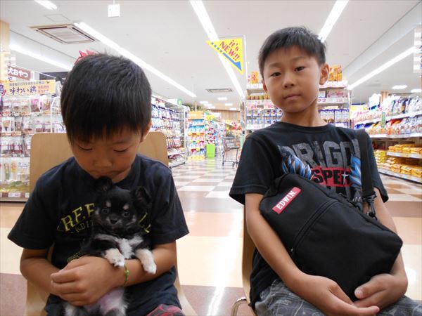 写真