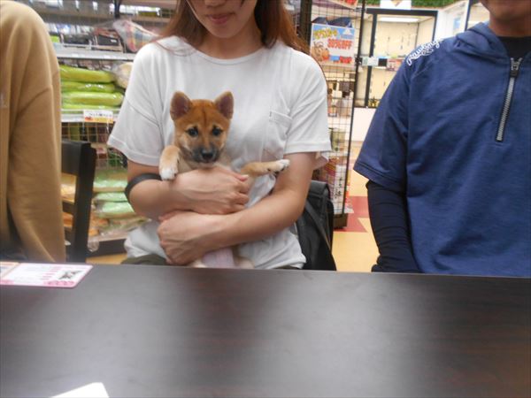 写真