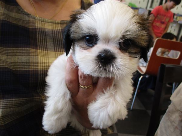 写真