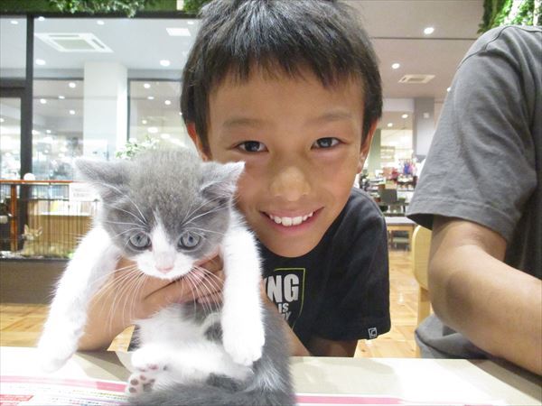 写真