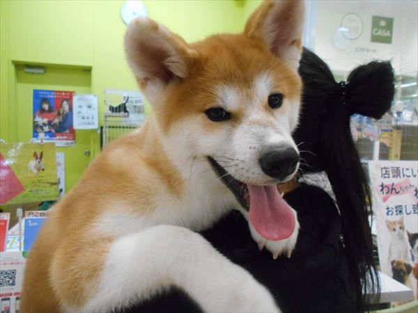 写真