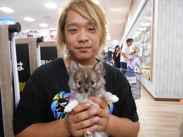 写真