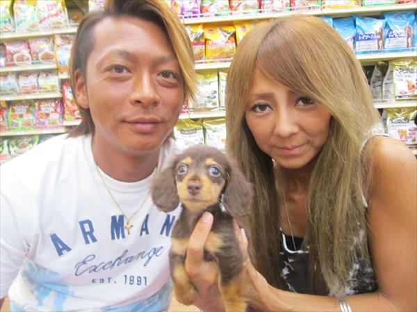 写真