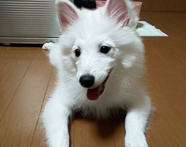 写真
