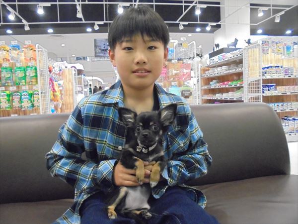 写真