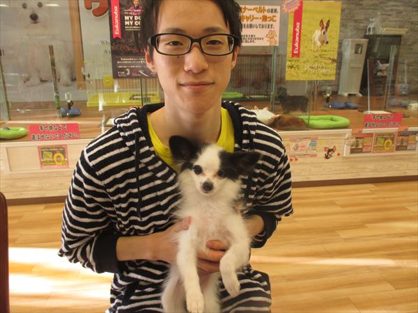 写真