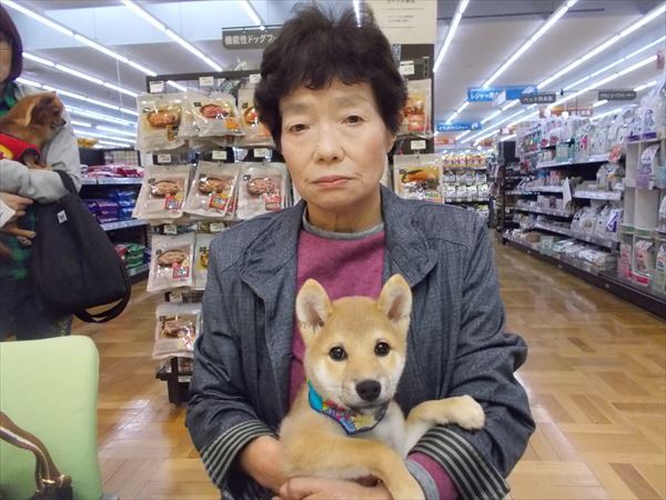 写真