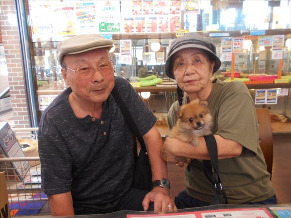 写真